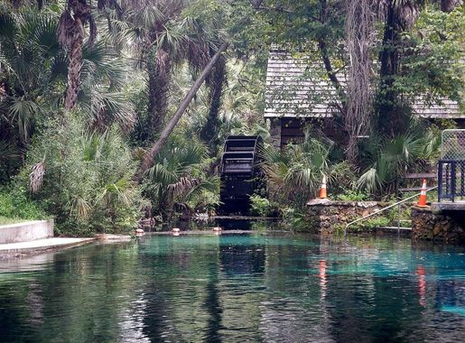 File:Juniper Springs - panoramio.jpg - Wikimedia Commons