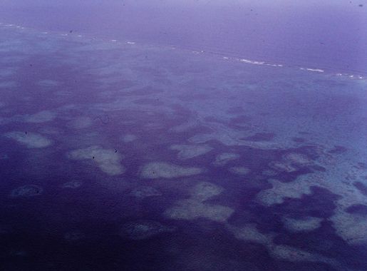 File:Barrier Reef Andros Island B 1999.jpg - Wikimedia Commons