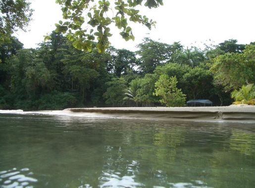 File:Frenchman's cove2.JPG - Wikimedia Commons