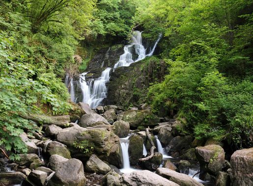 File:Torc Waterfall, Killarney National Park, Ring of Kerry (506629)  (28238643526).jpg - Wikimedia Commons