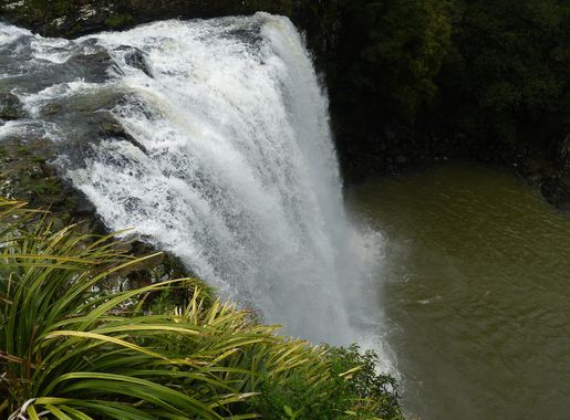 File:Whangarei Falls, New Zealand 01.JPG - Wikimedia Commons