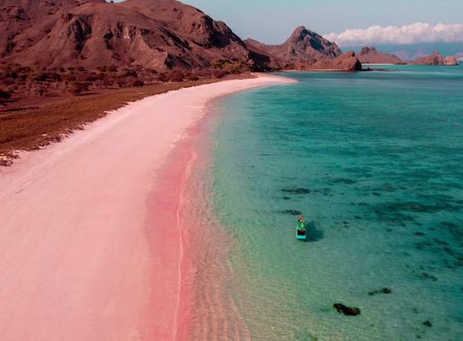 Berkas:Pink Beach, Padar Island, Komodo National Park.jpg - Wikipedia  bahasa Indonesia, ensiklopedia bebas