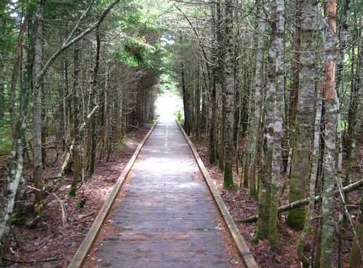 File:No End In Sight in Fundy National Park.jpg - Wikimedia Commons
