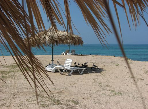 File:Mouchaislb.jpg - Wikimedia Commons
