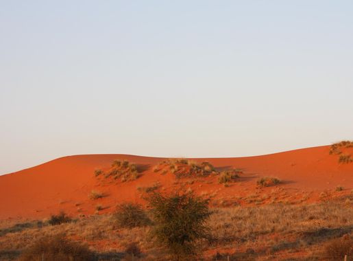 File:Dunes rouges du Kgalagadi kalahari.JPG - Wikipedia