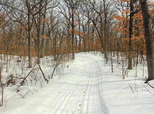 File:Gfp-minnesota-lake-maria-state-park-snowy-hiking-trail.jpg - Wikimedia  Commons