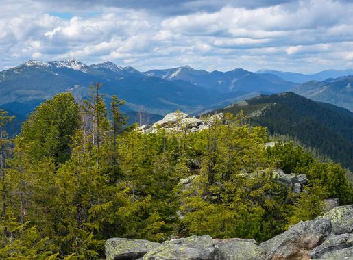 File:Горгани, Довбушанка.jpg - Wikipedia