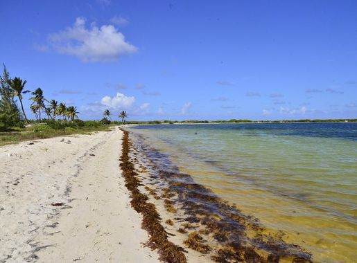 Fichier:Plage du Galion Baie de l'Embouchure.jpg — Wikipédia