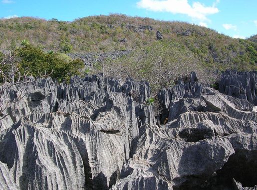 File:Tsingy Ankarana Madagascar 16-07-2004.JPG - Wikimedia Commons
