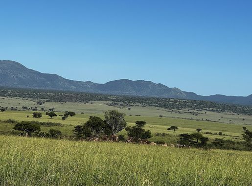 File:A landscape of Kidepo National Park in Uganda.jpg - Wikimedia Commons
