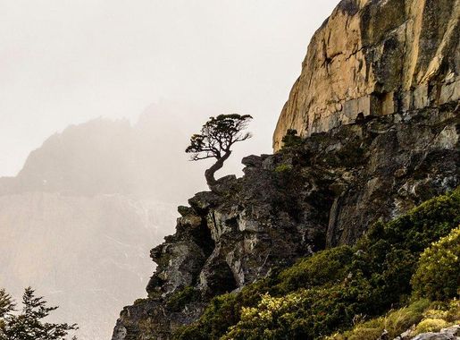 Morning fog dissipates mountains Branham | Free Photo - rawpixel