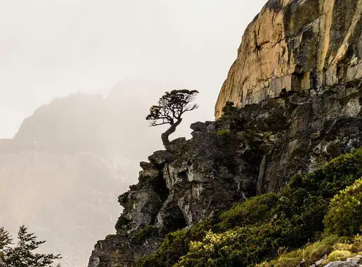 The Tobacco Root Mountains photo 2