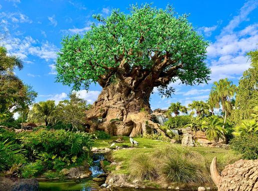 File:Tree of Life, Disney's Animal Kingdom.jpg - Wikipedia