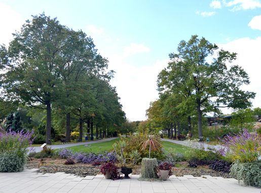 File:Entrance Plaza, Queens Botanical Garden.jpg - Wikipedia