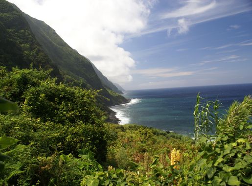 Lista de fajãs dos Açores – Wikipédia, a enciclopédia livre