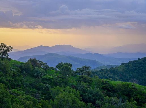 File:Gashaka-Gumti National Park, Taraba, Nigeria.jpg - Wikimedia Commons