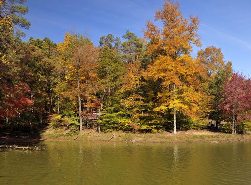 File:Brown County Lake, Indiana (2982445255).jpg - Wikimedia Commons