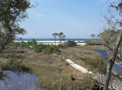 File:PC Beach Camp Helen SP01.jpg - Wikimedia Commons