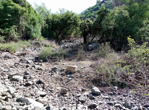 File:Entasopia river Bank in Nguruman Kenya.jpg - Wikimedia Commons