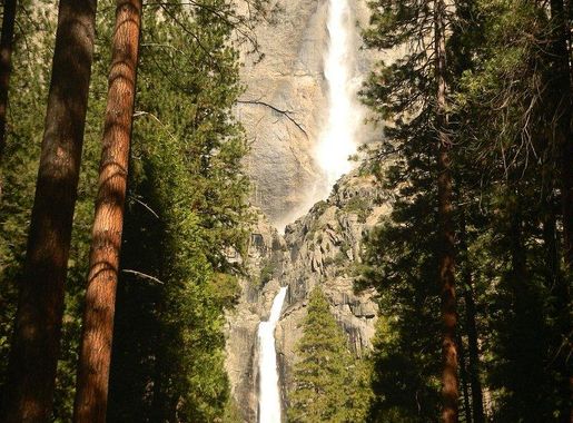 Redwood National And State Parks Images | Free Photos, PNG Stickers,  Wallpapers & Backgrounds - rawpixel
