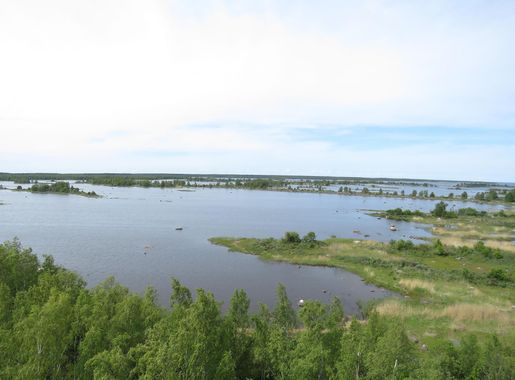 File:De Geer moraines at Kvarken.JPG - Wikimedia Commons