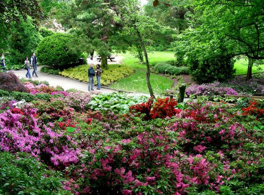 File:Arboretum Wojsławice 002.JPG - Wikimedia Commons