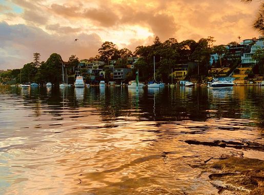 File:Folly Point Cammeray.jpg - Wikimedia Commons