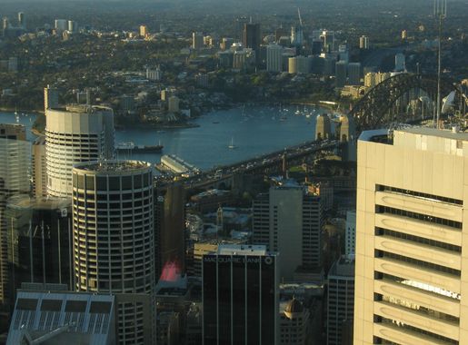 File:View from Sydney Tower Eye - panoramio.jpg - Wikimedia Commons