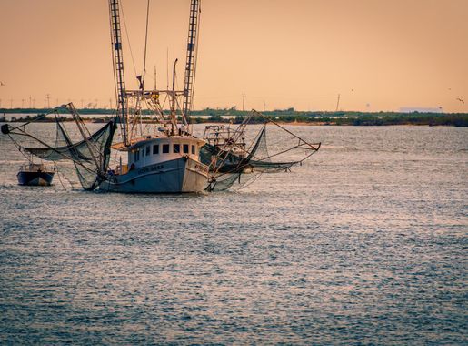 File:Grand Isle - Shrimp Stew.jpg - Wikimedia Commons