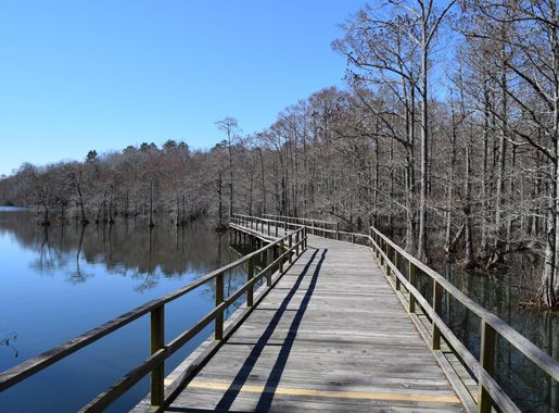 Fayil:Wall Doxey State Park 2017 01.jpg - Wikipedia