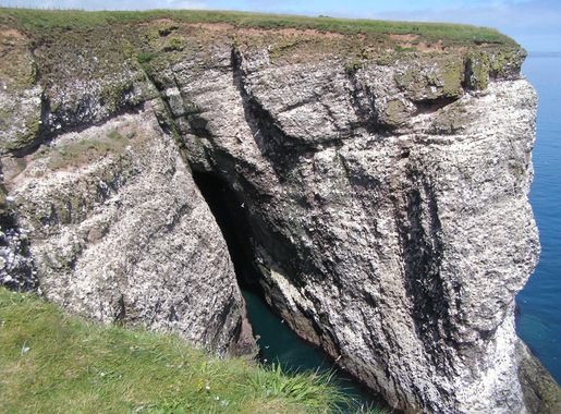 File:Fowlsheughclifftonorthsea.JPG - Wikimedia Commons