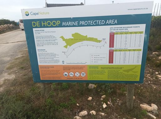 File:Reserva Natural de De Hoop, Overberg District Municipality, 6740,  Sudáfrica 20220929 085404.jpg - Wikimedia Commons