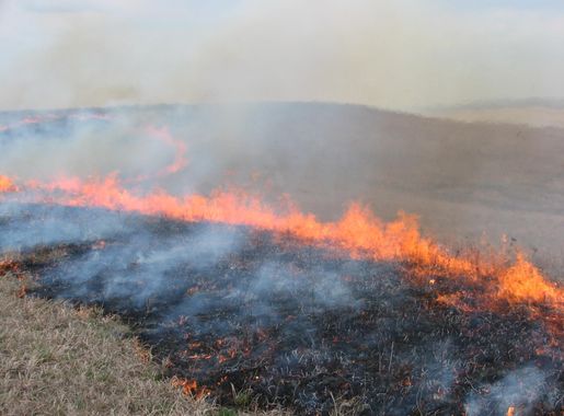 Prescribed Fire Season 2021 - Tallgrass Prairie National Preserve (U.S. National  Park Service)