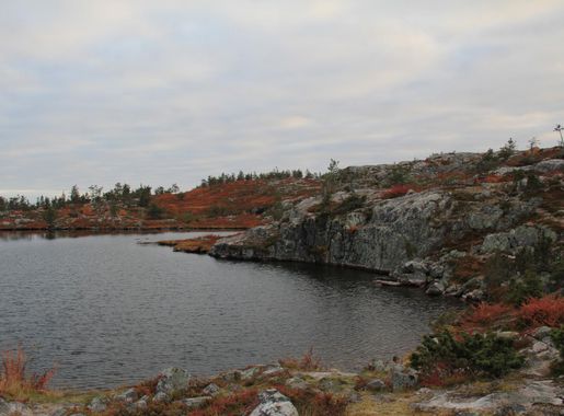 File:Särkitunturi pond in Muonio Finland.jpg - Wikimedia Commons