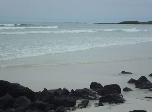 Archivo:Bahía Tortuga Puerto Ayora Galapagos.JPG - Wikipedia, la  enciclopedia libre