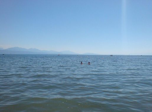 File:Plage de vidy en été.jpg - Wikimedia Commons