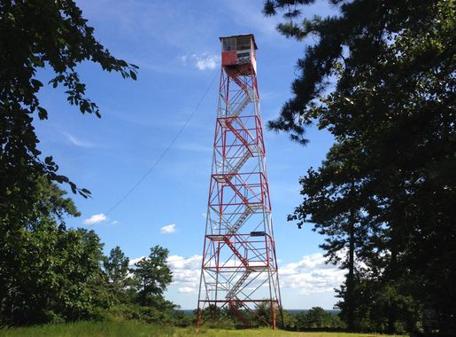File:2014-08-29 11 34 19 The fire tower on top of Apple Pie Hill in Wharton  State Forest, Tabernacle Township, New Jersey.JPG - Wikimedia Commons