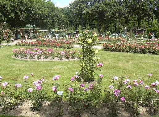 Fichier:Nancy - Parc de la Pépinière - Roseraie.jpg — Wikipédia