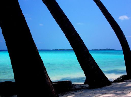 File:Maafushi, Maldives - panoramio (1).jpg - Wikimedia Commons