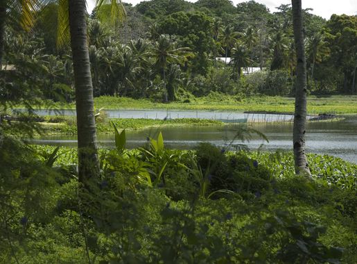 File:Buada Lagoon, Nauru 2007.jpg - Wikipedia
