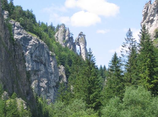 Súbor:Tiesnavy.jpg – Wikipédia