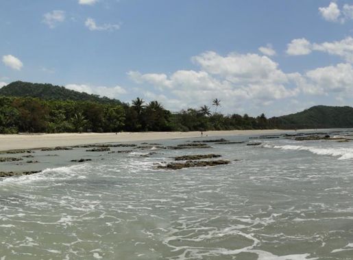 File:Cape Tribulation from Cocnut Beach.jpg - Wikimedia Commons