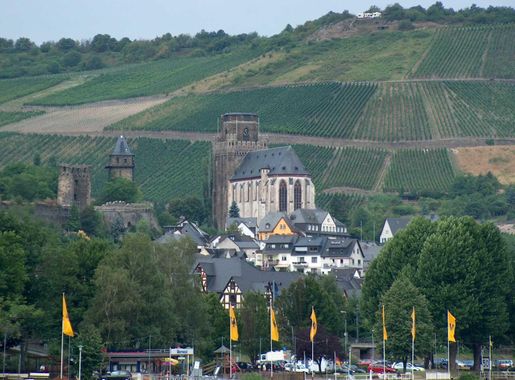 Rhine valley