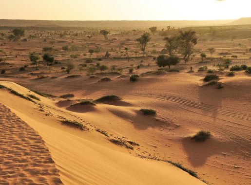 File:Niger, Niamey, Dunes (12), landscape at sunset.jpg - Wikimedia Commons
