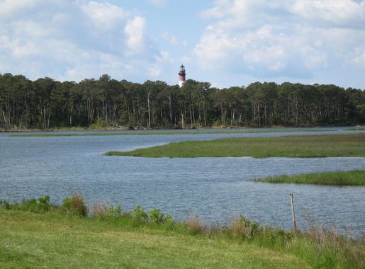 File:Chincoteague National Wildlife Refuge 1.jpg - Wikimedia Commons