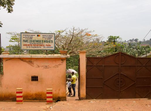 Fichier:Mvog-Betsi Zoo-Botanical Park.jpg — Wikipédia