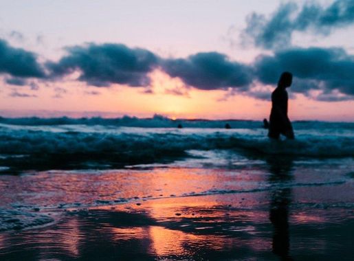 Sunset, beach, clouds, palm trees. | Free Photo - rawpixel