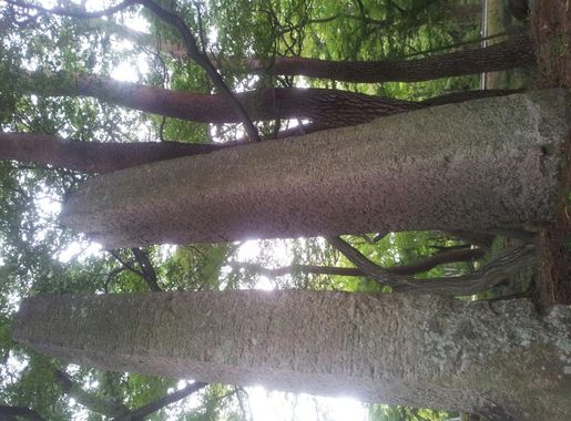 파일:범어사 당간지주 1.jpg - 위키백과, 우리 모두의 백과사전