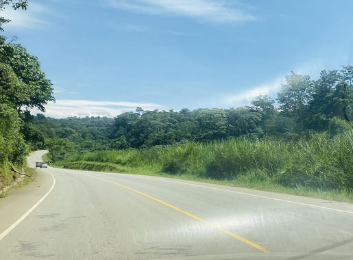 File:A road through the green scenery of Kibale National Park in Western  Uganda 06.jpg - Wikimedia Commons