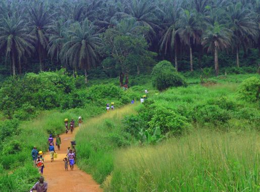 File:Kenema-Kailahun Road.jpg - Wikipedia